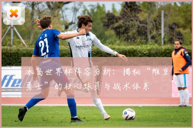 冰岛世界杯阵容分析：揭秘“维京勇士”的核心球员与战术体系