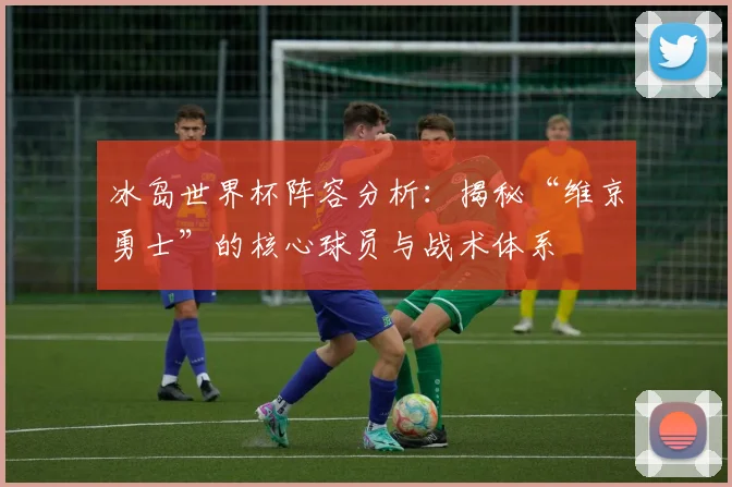 冰岛世界杯阵容分析：揭秘“维京勇士”的核心球员与战术体系