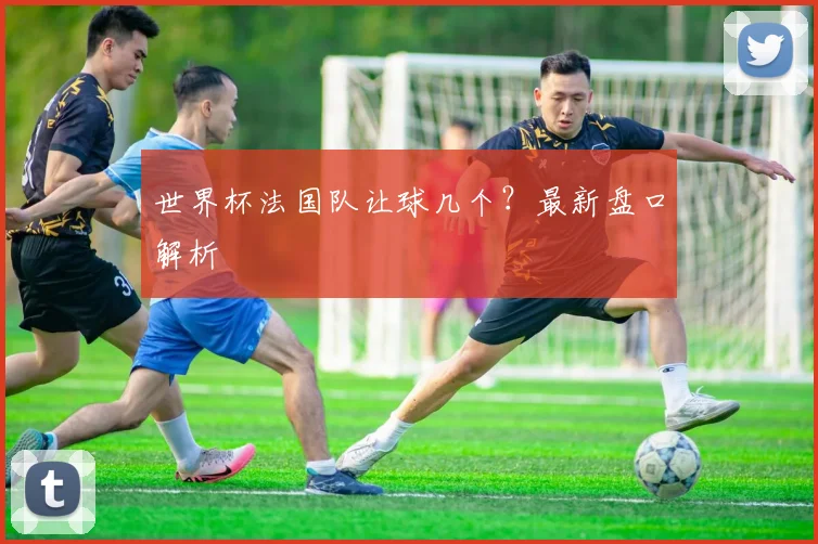 世界杯法国队让球几个？最新盘口解析