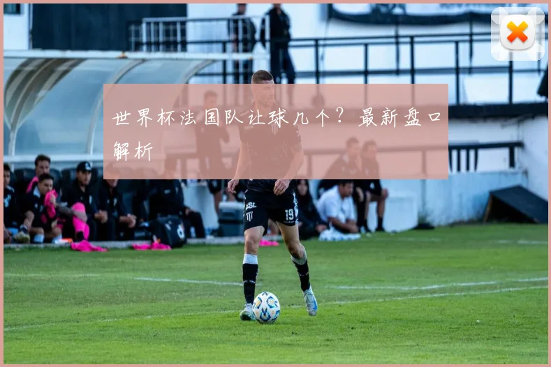 世界杯法国队让球几个？最新盘口解析