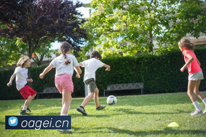 星空官网首页入口APP 封面图